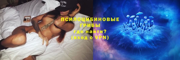 крисы Липки