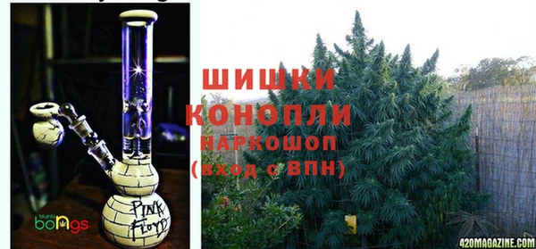 крисы Липки