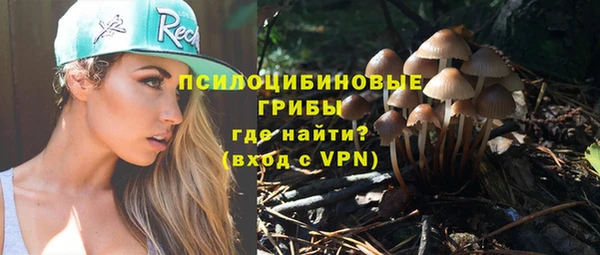 крисы Липки